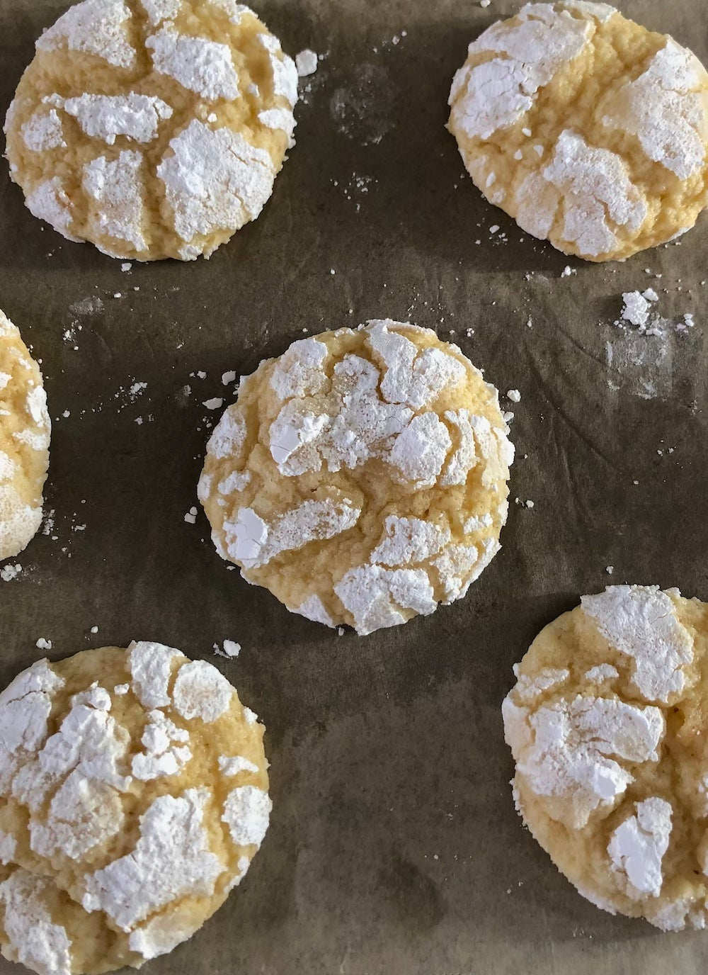 Preserved Lemon Cookies