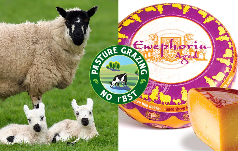 Ewephoria Extra Aged Sheep's Milk Gouda
