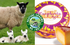 Ewephoria Extra Aged Sheep's Milk Gouda