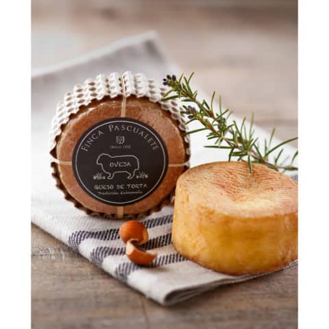 Pinca Pascualte Mini Retorta