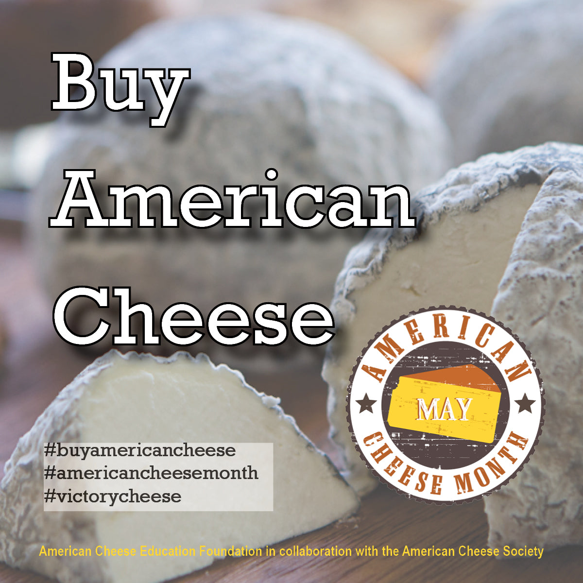 Victory Cheese Box - American Artisan Cheese Assortment
