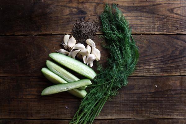 The Real Dill Caraway Garlic Dill Pickles