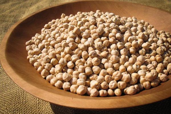 Garbanzo Bean - Rancho Gordo