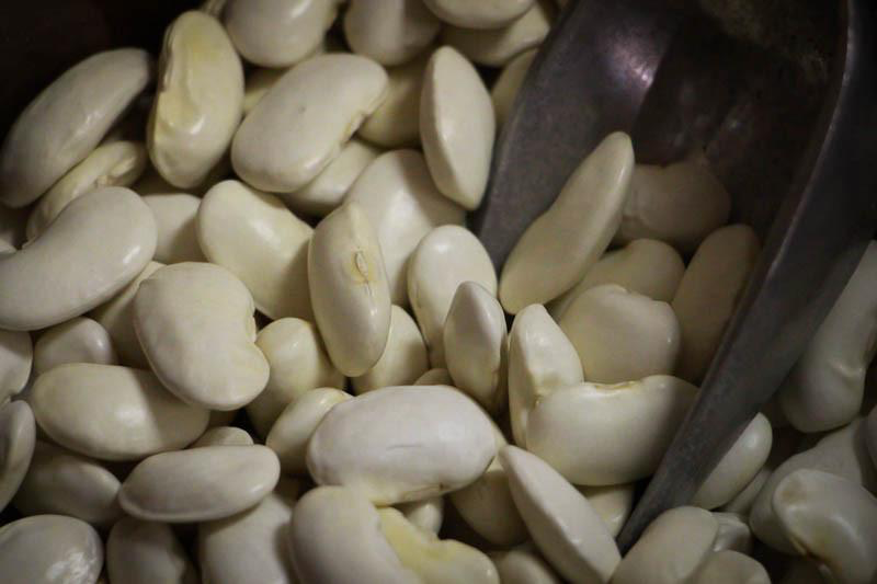 Royal Corona Bean Rancho Gordo
