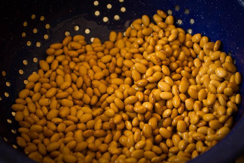 Buckeye (aka Yellow Indian Woman) - Rancho Gordo Beans