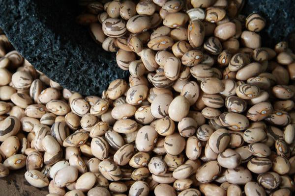 Eye of the Goat Bean Rancho Gordo