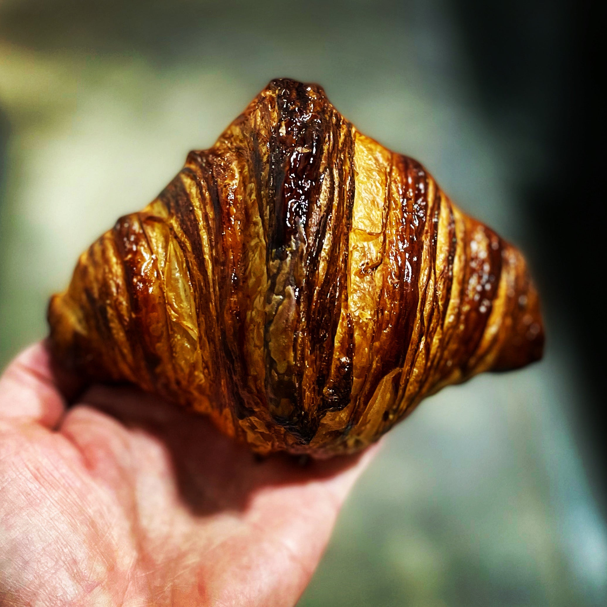 Babette's Fresh Pastries Pre-order